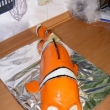 Nemo 5